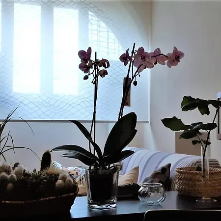 아파트 A Casa Di Dona *